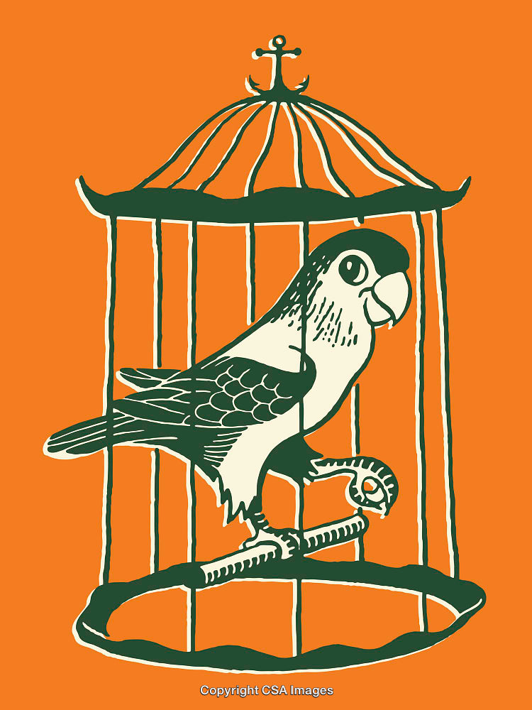 Colorful Line Art Illustration of Parrot in Cage on Orange Background