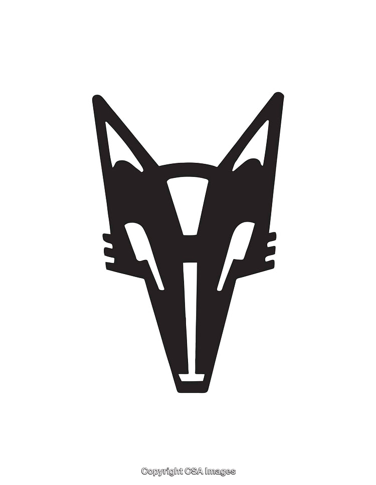 Stylized Black and White Fox Face Line Art Drawing