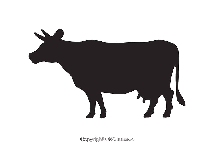Silhouette Drawing of a Cow in Simple Monochrome Style