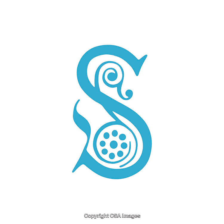 Intricate Decorative Letter S in Minimalistic Blue Design
