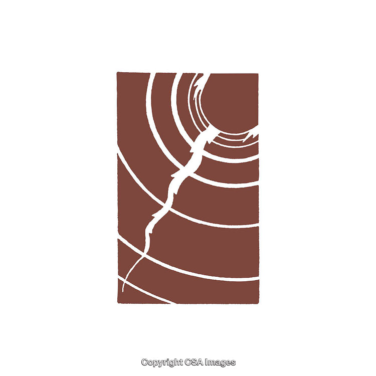 Abstract Artwork with Concentric Lines and Central Crack Design