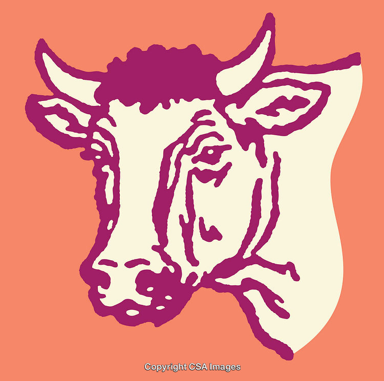 Colorful Graphic Line Art Illustration of a Cow's Face on Vibrant Background
