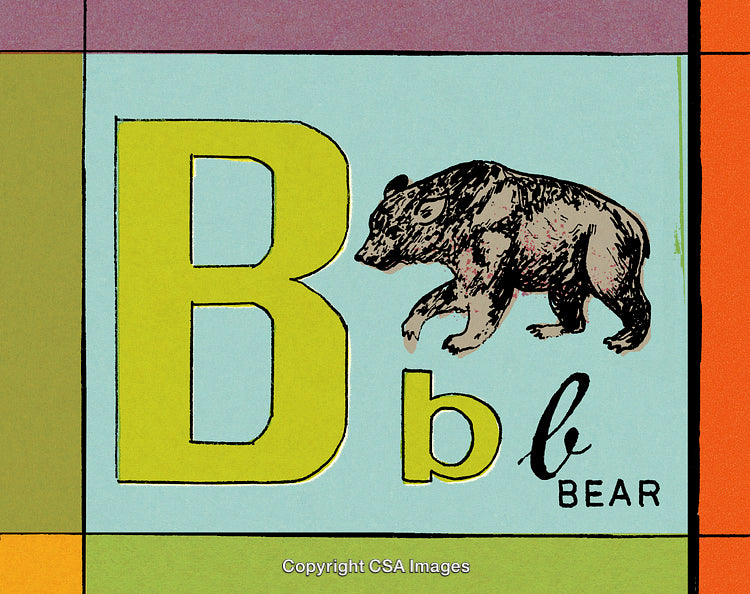 Illustration of the Letter B Featuring a Bear with Artistic Style