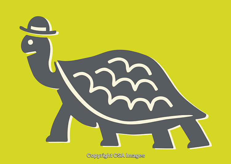 Illustration of a Turtle Wearing a Hat in a Bold Art Style