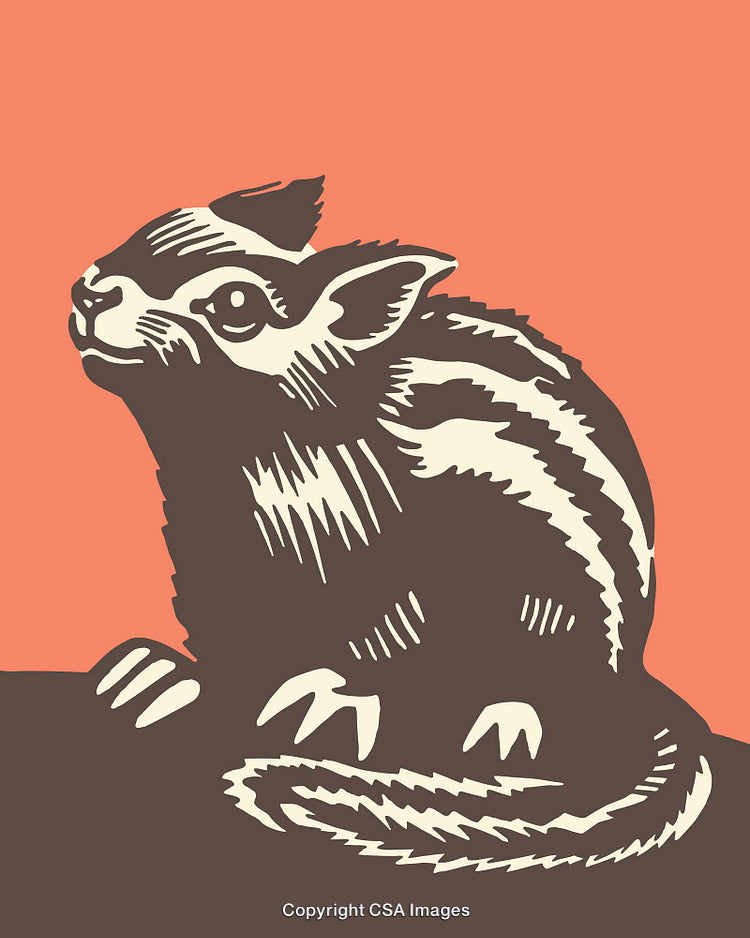 Stylized Line Art of a Small Mammal on Coral Background