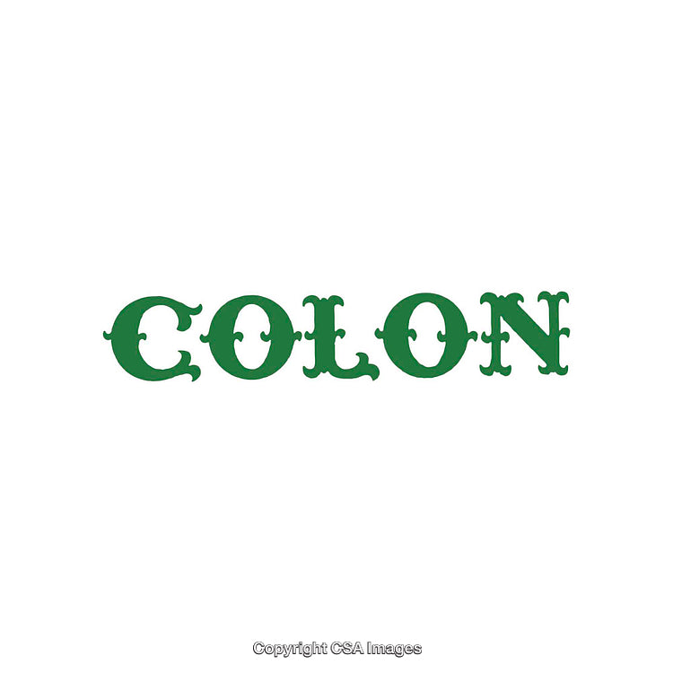 Intricate Green Typography Design of the Word Colon on White Background