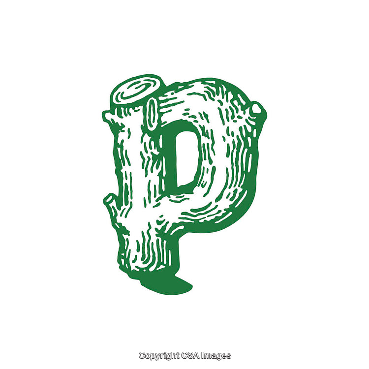 Creative Illustration of Letter P with Tree Trunk Design Features