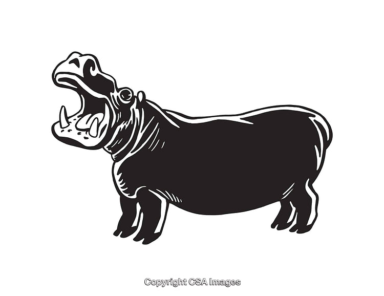Black and White Line Art Illustration of a Hippopotamus