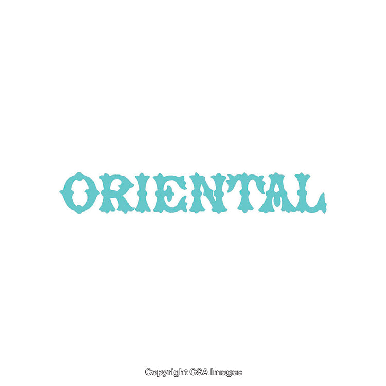 Single Word Graphic with Bold Ornamental Font Design in Blue
