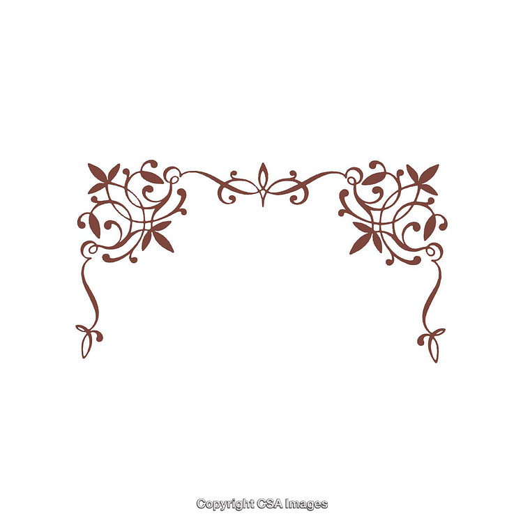 Intricate Decorative Flourish Design with Elegant Swirling Floral Patterns