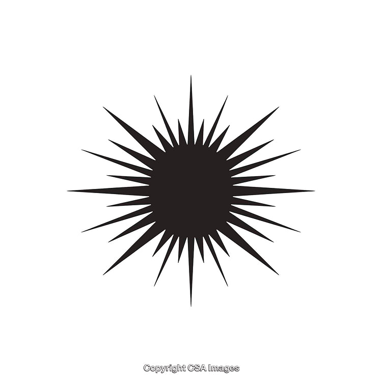 Black Starburst Shape with Sharp Spiked Rays on White Background