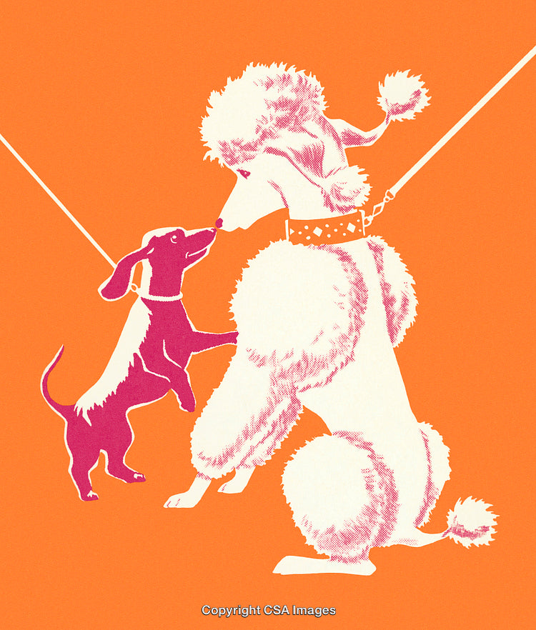 Colorful Silhouettes of Two Dogs Interacting on an Orange Background