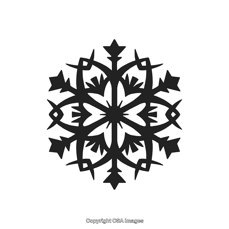 Detailed Black and White Snowflake Design with Intricate Patterns