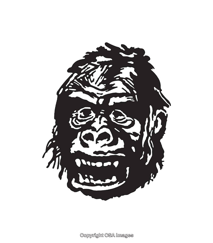 Black and White Line Art of a Primate Face Drawing