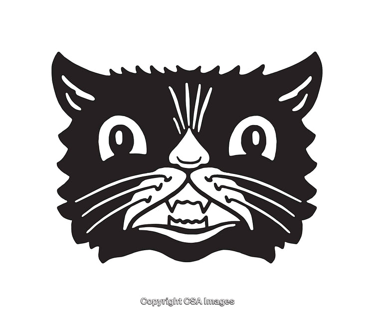 Black and White Illustration of a Cat Face with Intense Expression