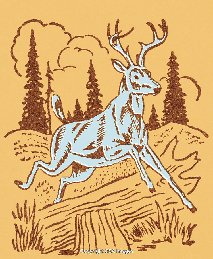 Vintage Illustration of a Deer in a Forest with Retro Artistic Style