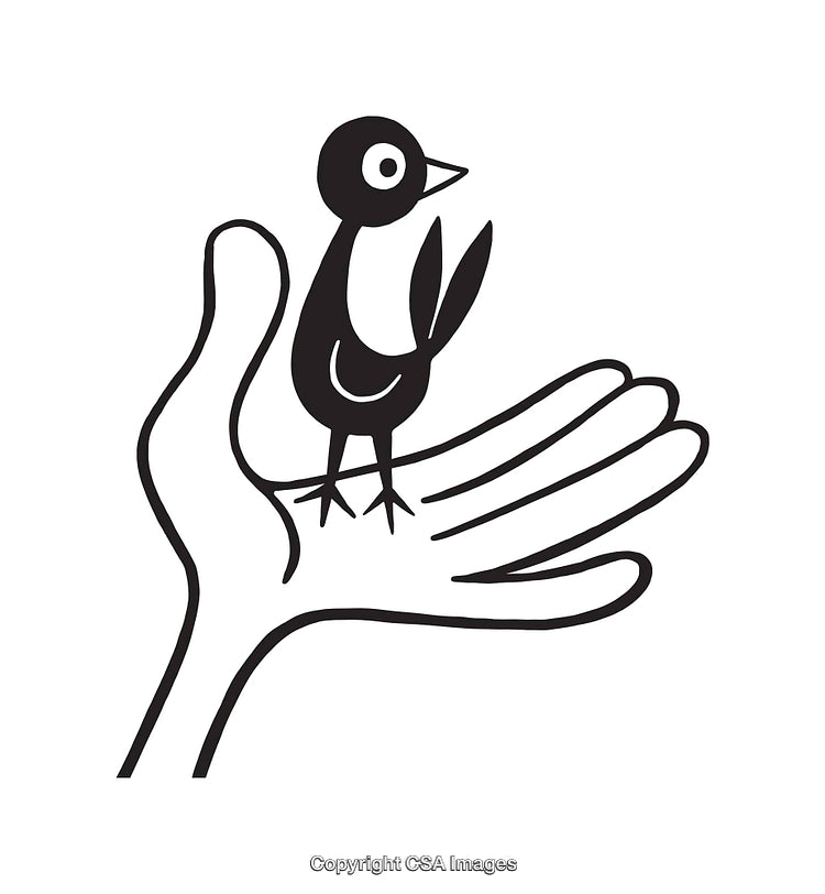 Simple Line Art of a Bird Perched on a Hand