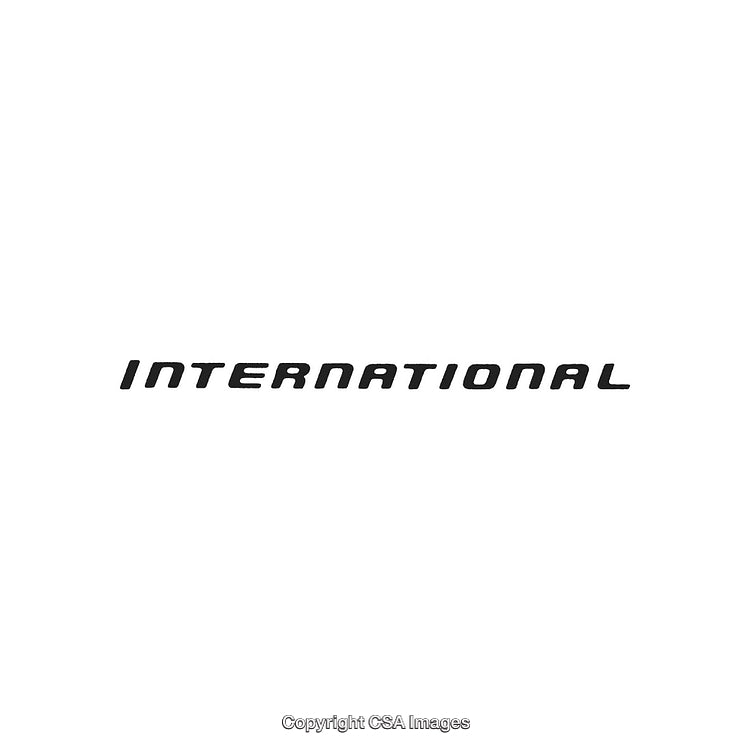 Black Stylized 'International' Text On White Background for Versatile Use