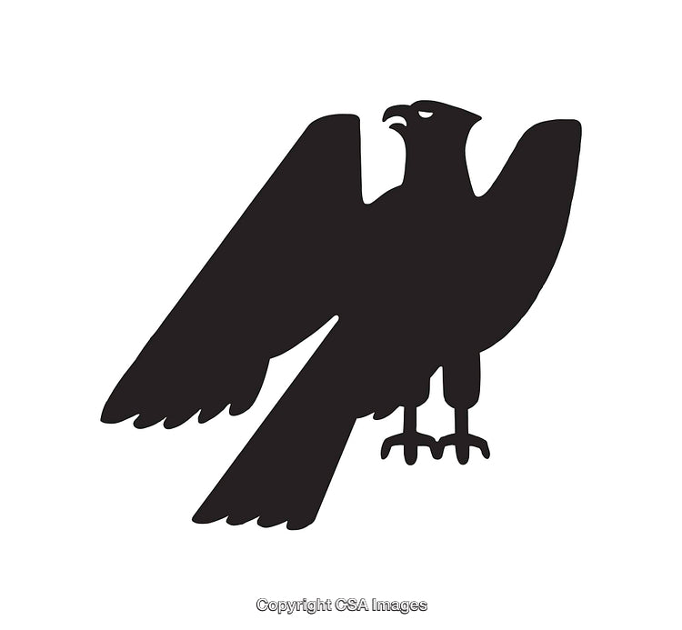 Silhouette of a Hawk with Outstretched Wings in Black and White Design
