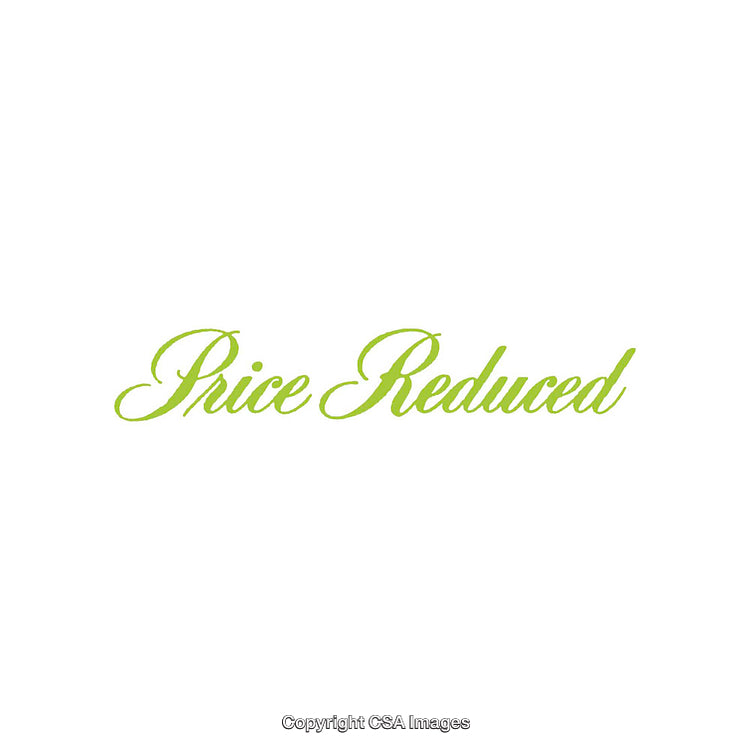 Green Simplistic Design of Text Highlighting Reduced Price Concept