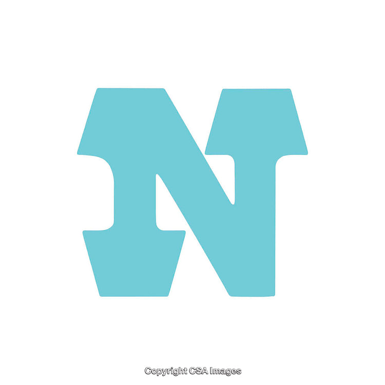 Elegant Blue Letter N Icon with Rounded Design on a White Background
