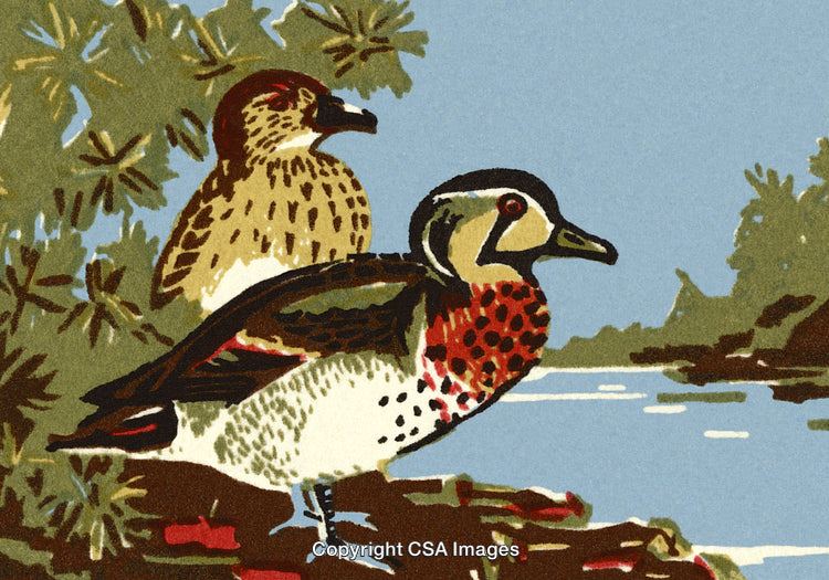 Colorful Illustration of Two Ducks by a Scenic Riverside with Trees
