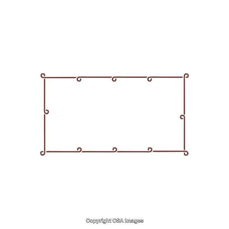 Elegant Rectangular Brown Decorative Frame with Curling Details on White Background