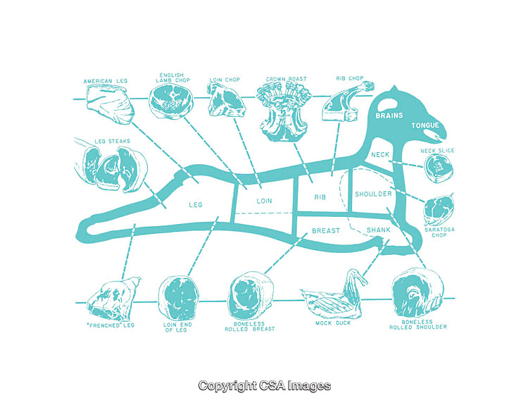 Illustrated Diagram of Lamb Meat Cuts and Their Respective Locations
