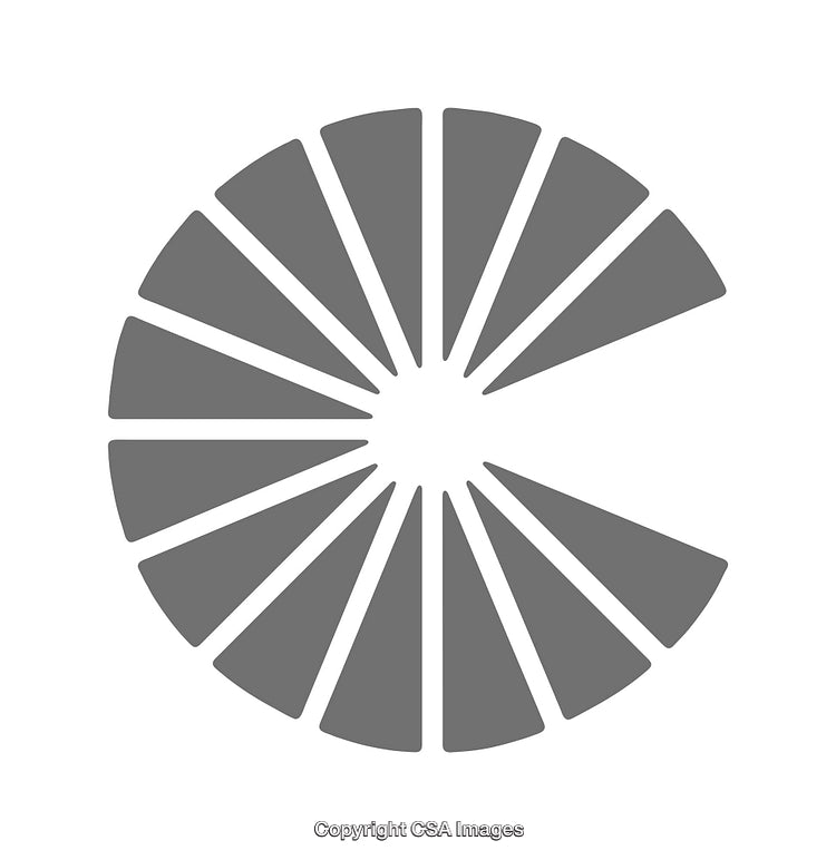 Geometric Circular Icon Design with Symmetrical Radiating Spokes