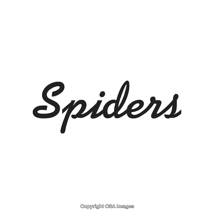 Elegant Black Cursive Text 'Spiders' On A Clean White Background