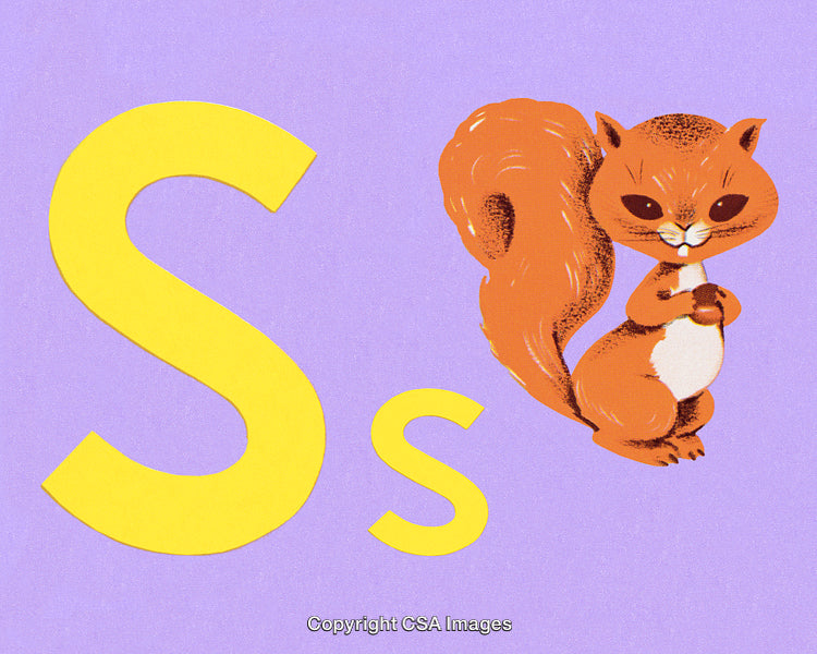 Illustration of the Letter 'S' and a Cartoon Squirrel on a Purple Background