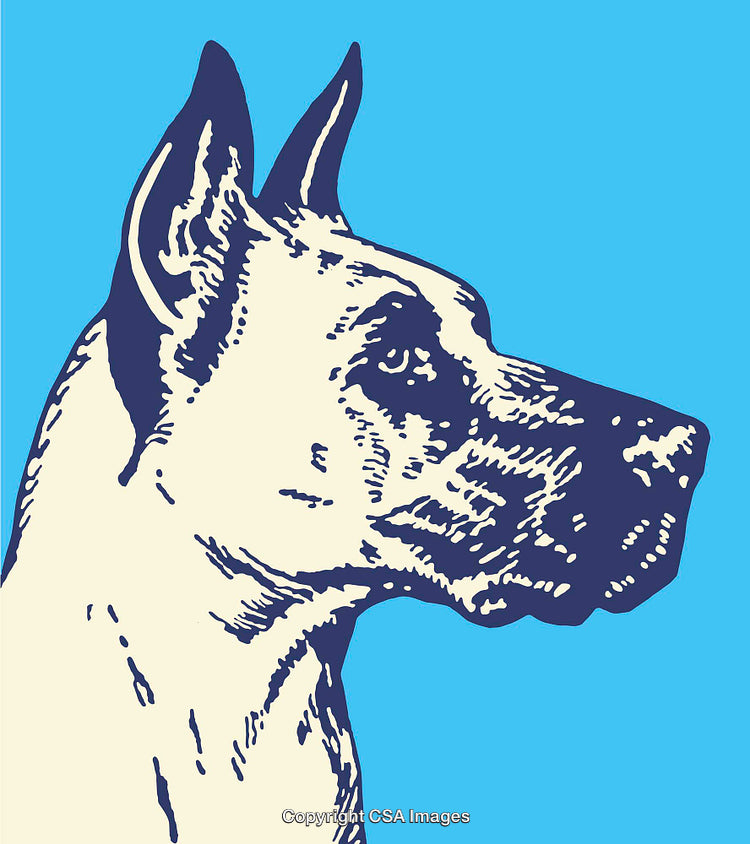 Colorful Line Art Illustration of a Dog Profile on a Blue Background