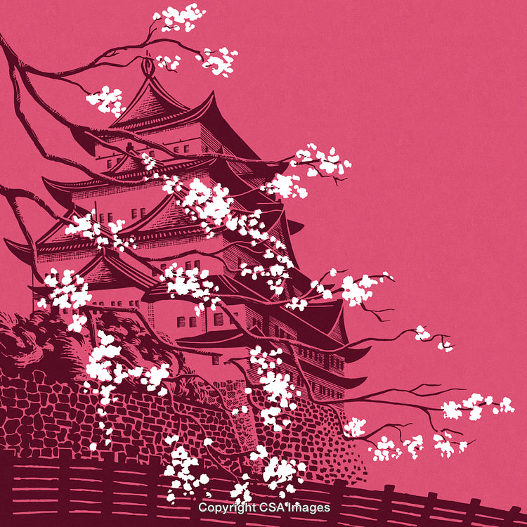Traditional Japanese Pagoda with Cherry Blossoms on a Vibrant Pink Background