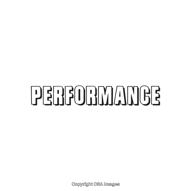Performance Text in Bold Black Font Over a Clean White Background