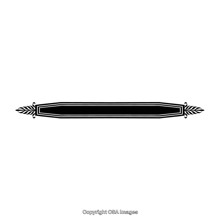 Elegant Black and White Border Design with Decorative Elements