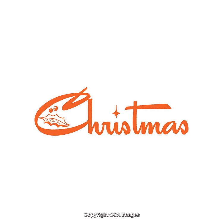 Minimalist Orange Christmas Calligraphy with Stylized Festive Elements