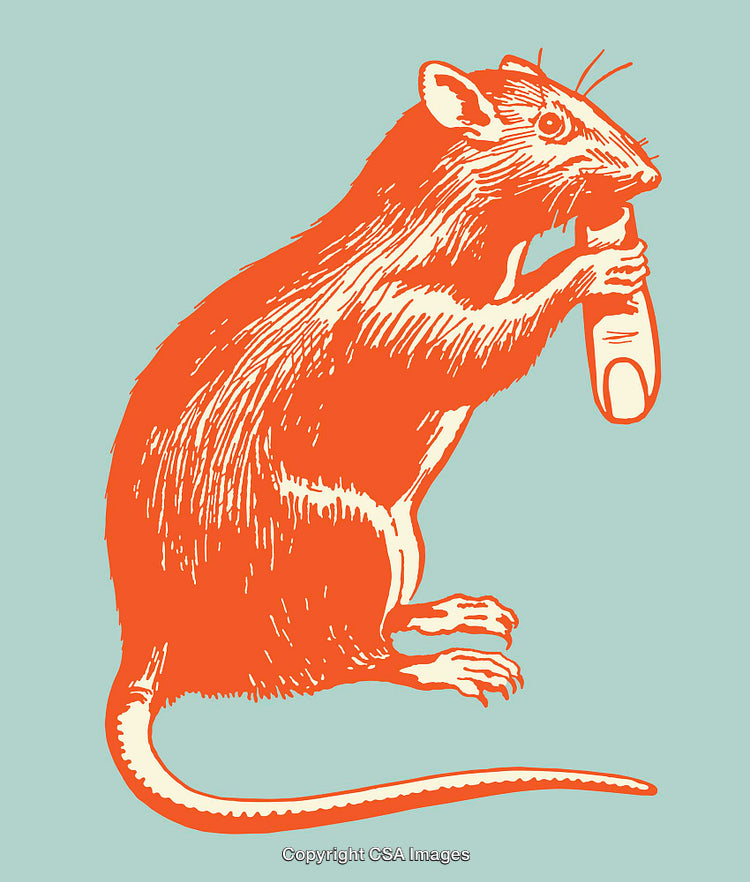 Illustration of a Rat Holding a Human Finger, Line Art Style