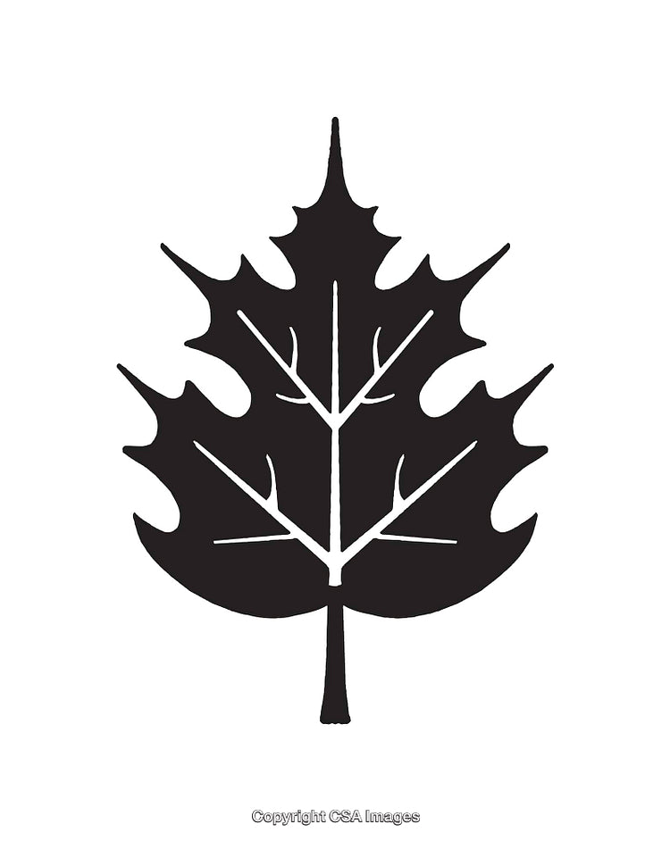 Abstract Black Leaf Illustration with Bold Geometric Lines