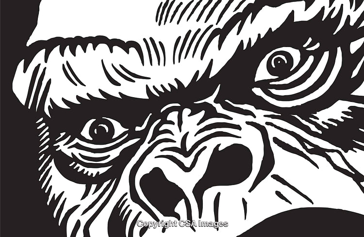 Bold Black and White Illustration of Fierce Gorilla Face Close-up