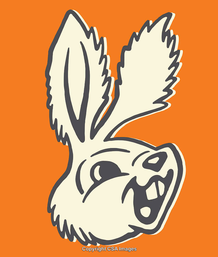 Cheerful Cartoon Rabbit Illustration on Vibrant Orange Background