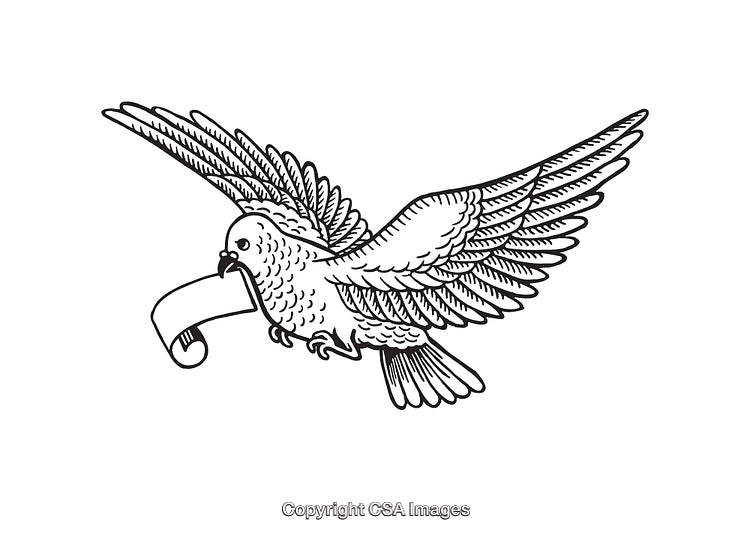 Black and White Line Art of Dove Carrying a Scroll in Flight