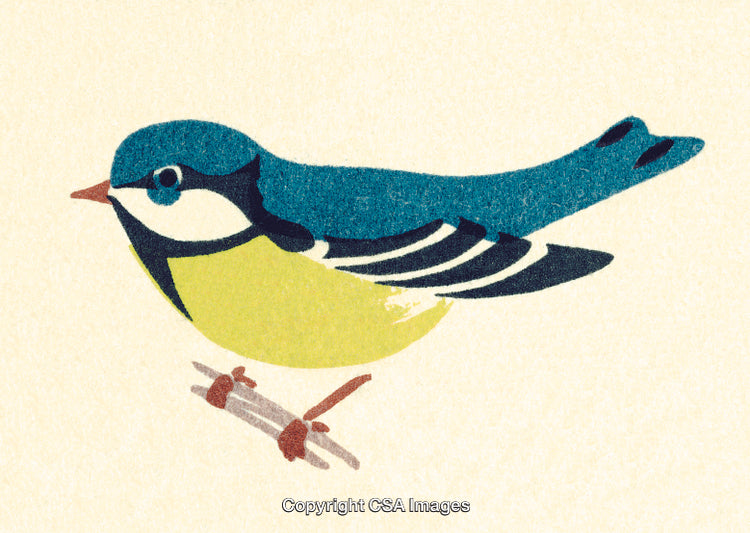 Colorful Graphic Illustration of a Small Bird Perched on a Simple Branch
