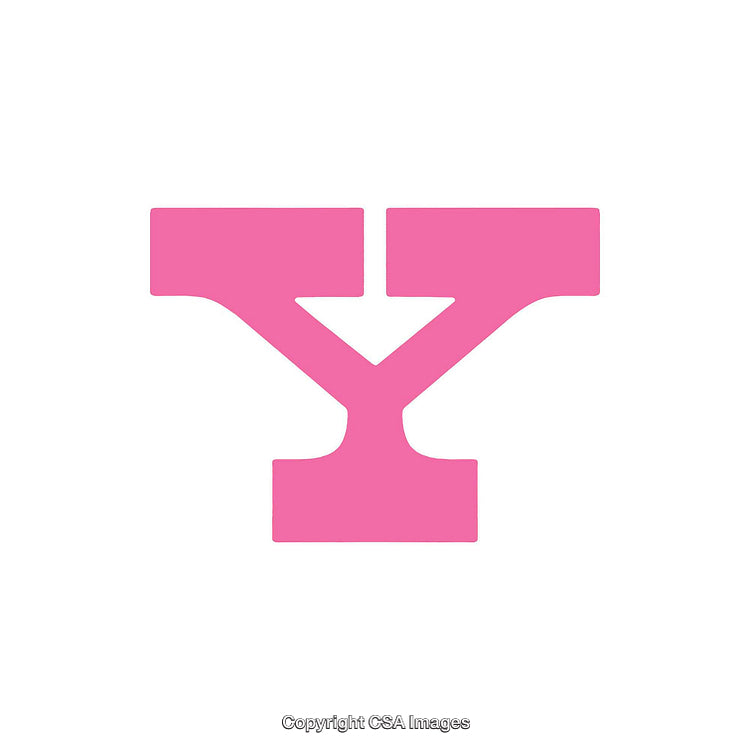 Stylized Pink Letter Y in Bold Serif Font on White Background