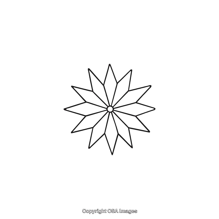 Simple Black And White Star-Shaped Geometric Pattern Design