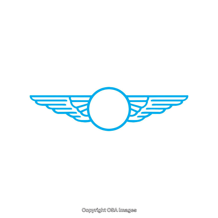 Stylized Blue Winged Logo Outline on White Background