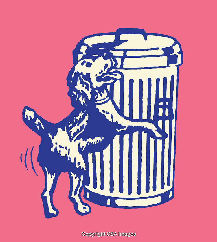 Blue Dog and Trash Can on Pink Background Illustration
