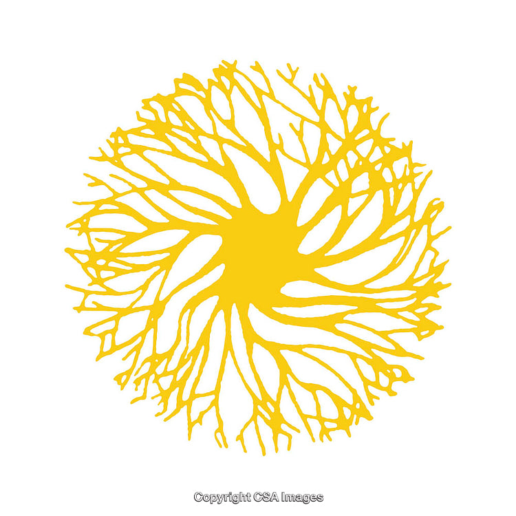 Abstract Yellow Circle Design With Organic Branch Filaments