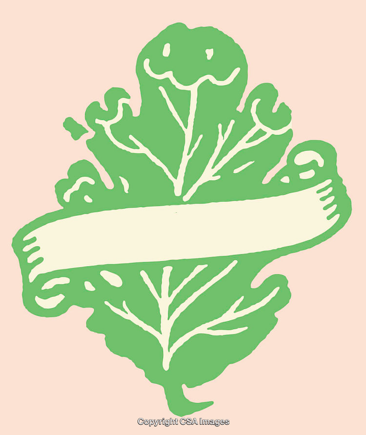 Green Leaf Line Art Illustration with a Banner on a Peach Background
