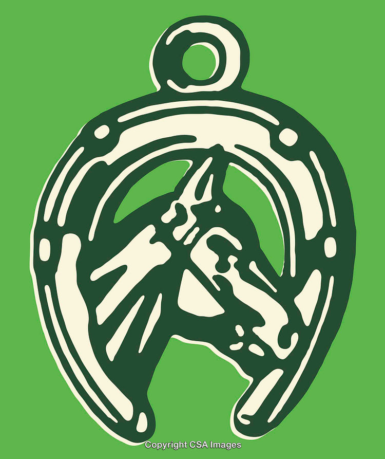 Vintage Line Art of Horse Head Inside an Illustrated Horseshoe