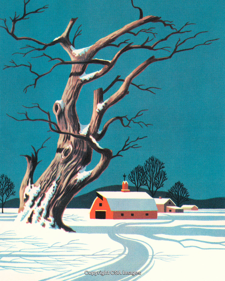 Snowy Rural Landscape With Bare Oak Tree Under Blue Winter Sky
